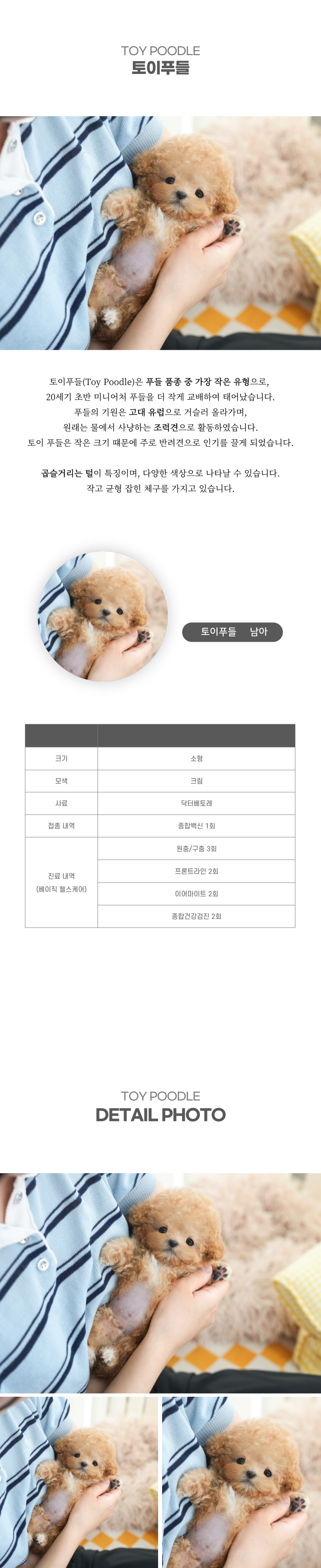 토이푸들_상세이미지_2